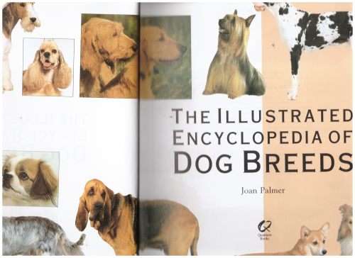 The Illustrated Encyclopedia of Dog Breeds -- Joan Palmer