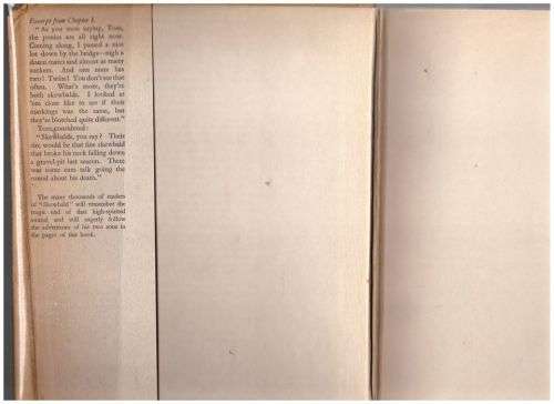 Sons of Skewbald, or Castor and Pollux -- Allen W. Seaby