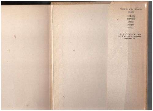 Sons of Skewbald, or Castor and Pollux -- Allen W. Seaby