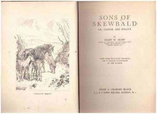 Sons of Skewbald, or Castor and Pollux -- Allen W. Seaby