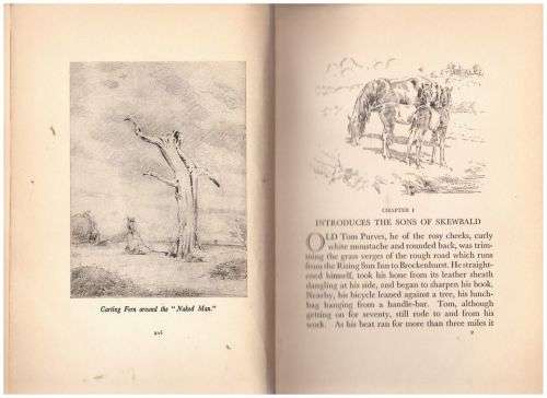 Sons of Skewbald, or Castor and Pollux -- Allen W. Seaby