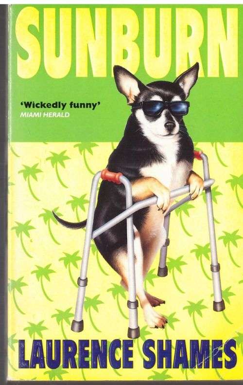Sunburn -- Laurence Shames