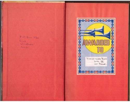 Shelley and the Bushfire Mystery -- Ellen Bosworth