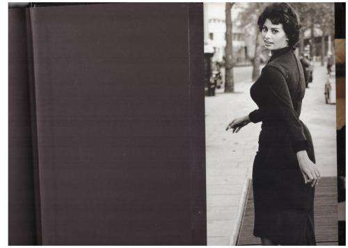 Images of Movie Stars -- Tim Hill