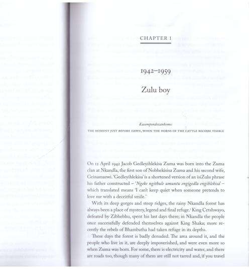 Zuma: A Biography  --  Jeremy Gordin