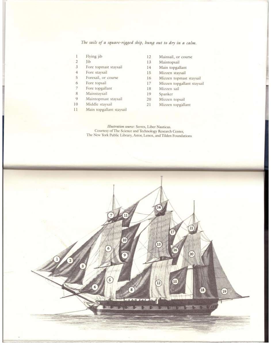 The Commodore (Aubrey/Maturin Novels #17) -- Patrick O`Brian