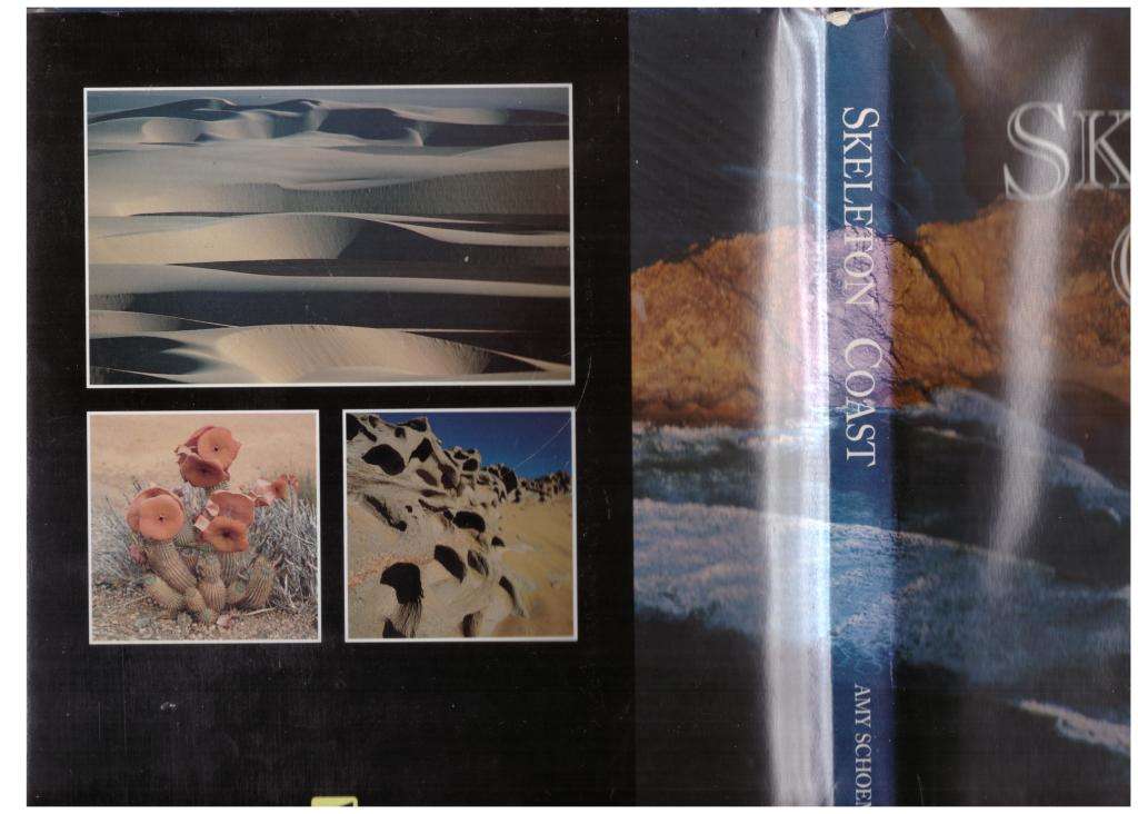 Skeleton Coast -- Amy Schoeman