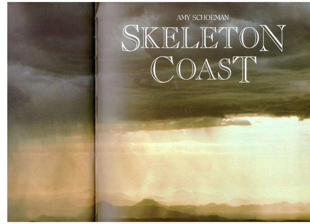 Skeleton Coast -- Amy Schoeman