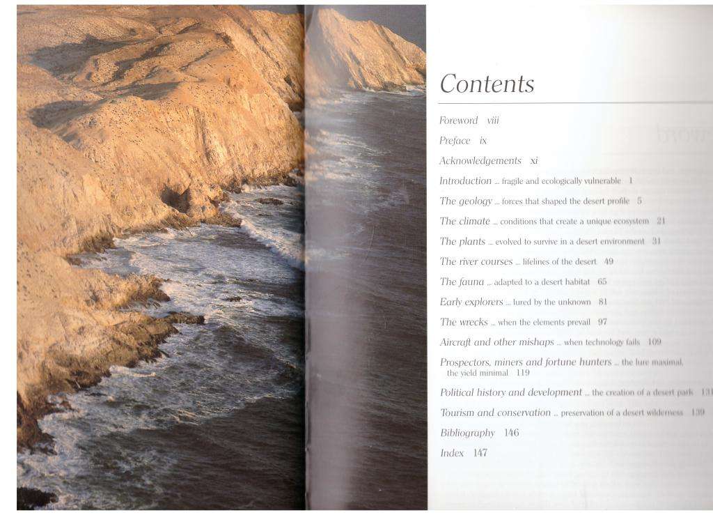 Skeleton Coast -- Amy Schoeman