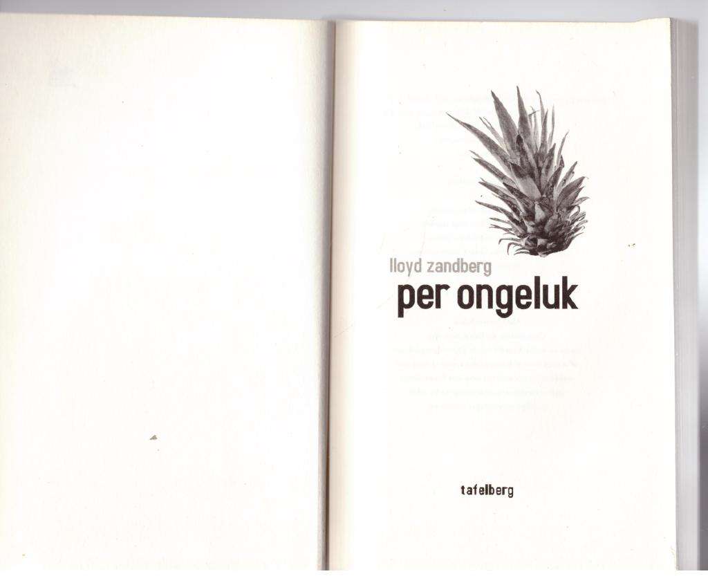 Per ongeluk -- Lloyd Zandberg