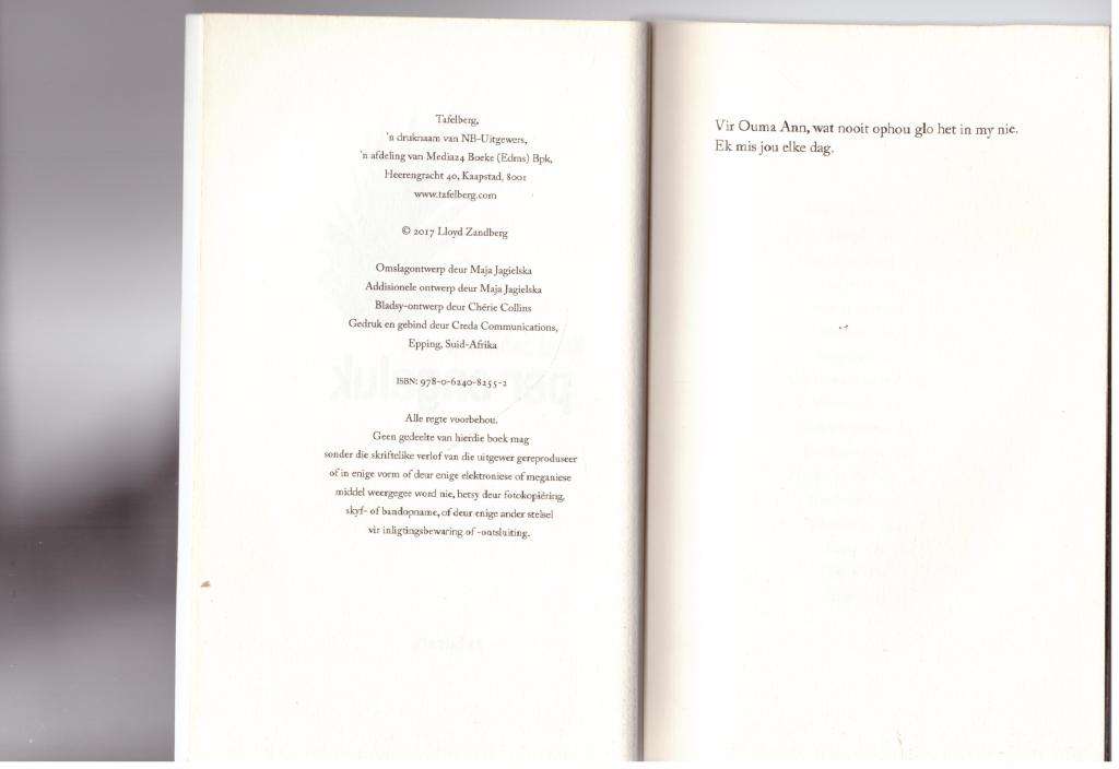 Per ongeluk -- Lloyd Zandberg