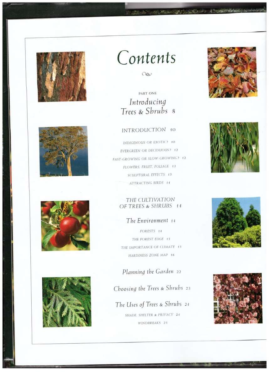 The Ultimate Book of Trees & Shrubs for Southern African Gardeners -- Kristo Pienaar