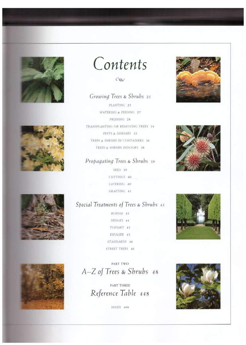 The Ultimate Book of Trees & Shrubs for Southern African Gardeners -- Kristo Pienaar