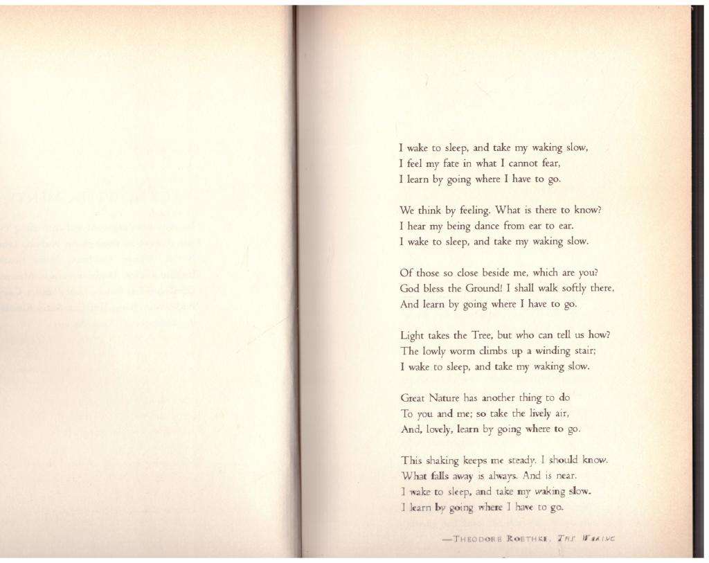 What Falls Away: A Memoir --  Mia Farrow