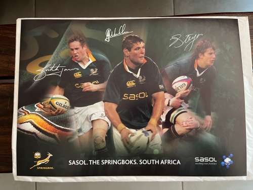 Set of 10 Springbok Rugby Posters (Each one 29,5cm * 42cm)