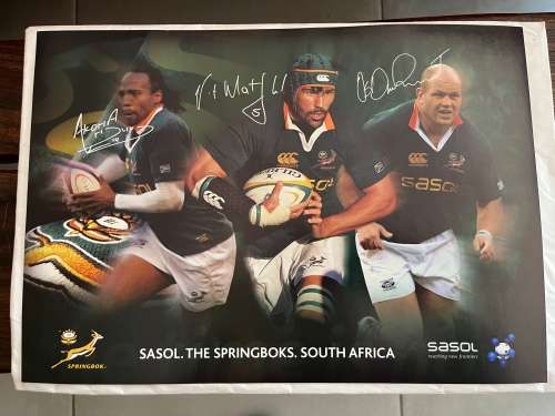 Set of 10 Springbok Rugby Posters (Each one 29,5cm * 42cm)