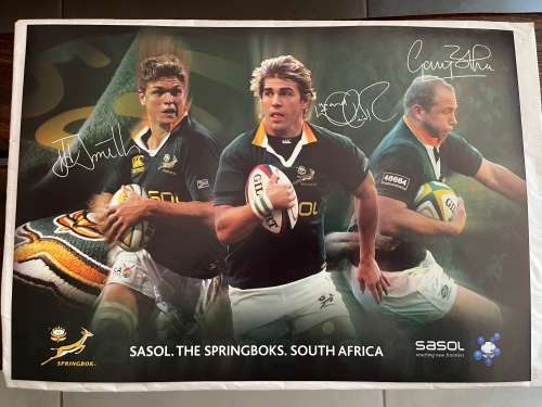 Set of 10 Springbok Rugby Posters (Each one 29,5cm * 42cm)