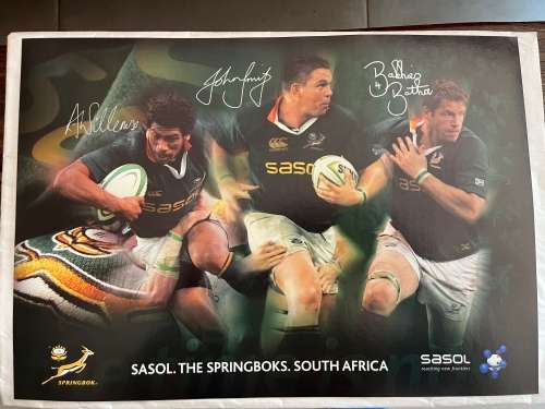 Set of 10 Springbok Rugby Posters (Each one 29,5cm * 42cm)