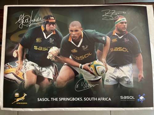 Set of 10 Springbok Rugby Posters (Each one 29,5cm * 42cm)