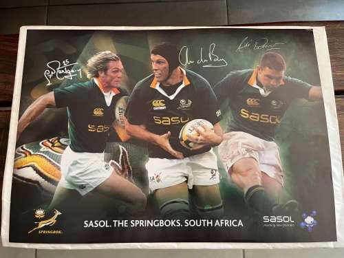 Set of 10 Springbok Rugby Posters (Each one 29,5cm * 42cm)