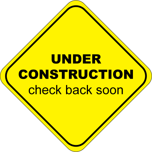 10 Page Website Designed for only 1cent !!!