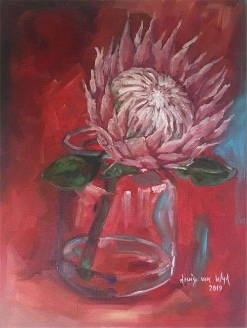 Protea Paintings