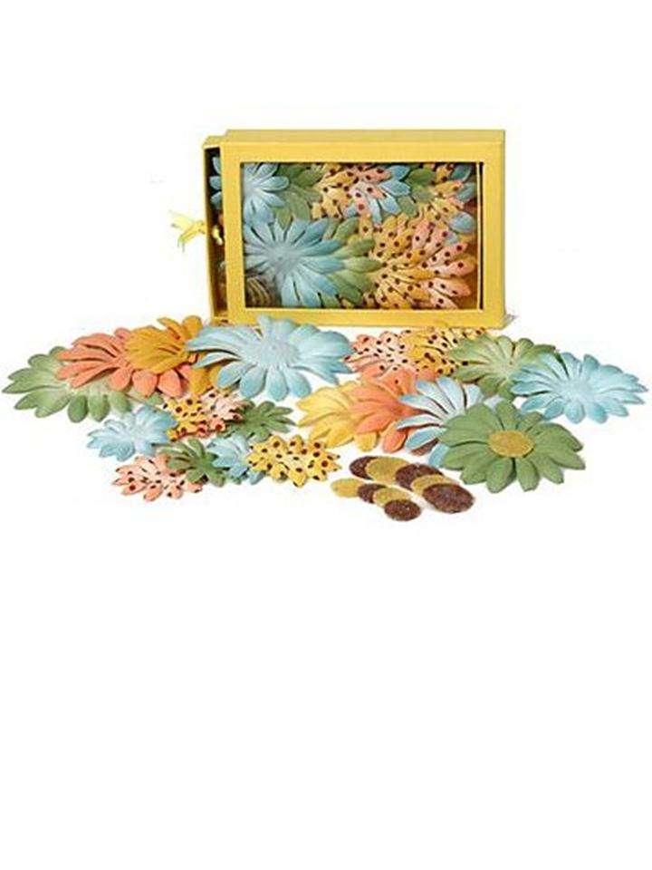 DAISY BOX BLEND GOLD/PEACH/GREEN/BLUE