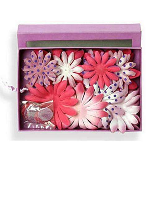 DAISY BOX BLEND PINK/LAVENDER