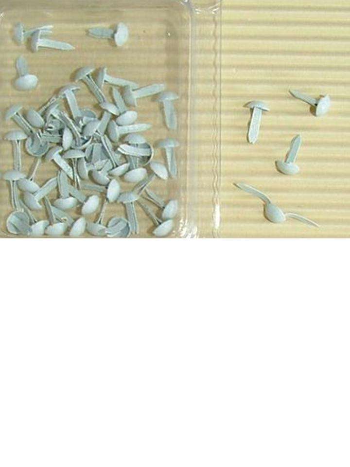 BRADS:  WHITE   small round  - 50 per packet