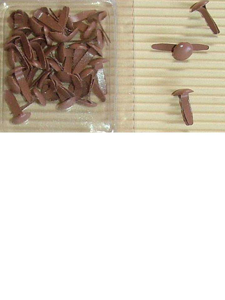 BRADS :  BROWN large round  - 30 per packet