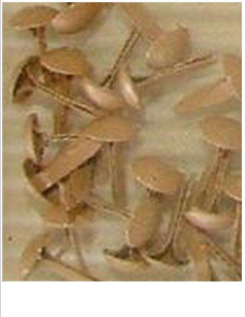 BRADS:  BEIGE    small round  - 50 per packet