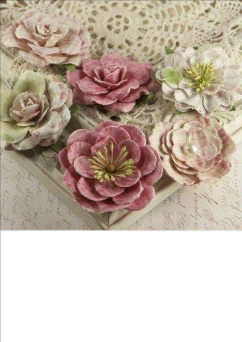 Paloma collection:  Sparkling  6 flowers per packet