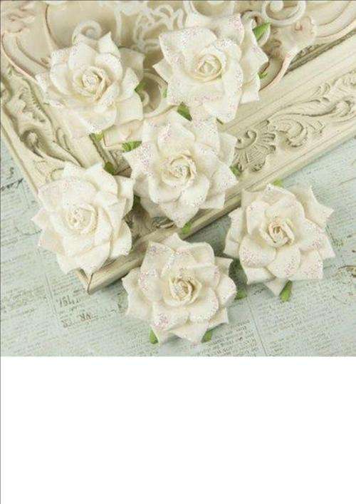 ARCADIAN WHITE:  6 beautiful flowers pack size 115mmx180mm