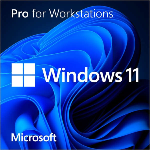Windows 11 Professional For Workstation