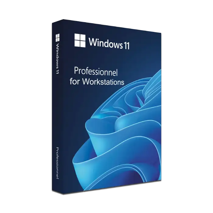 Windows 11 Professional For Workstation