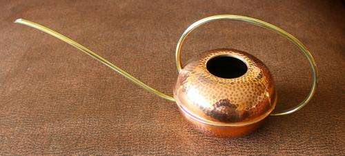 Lovely Little Water Can