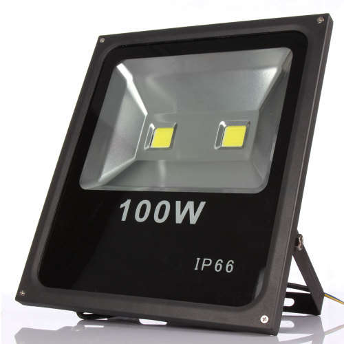 100W Floodlight Double Chip