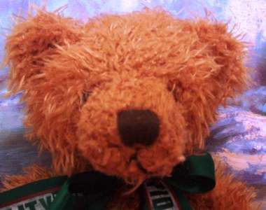 BEAUTIFUL RUSS BEARMY NAME   IS  WELLINGTON