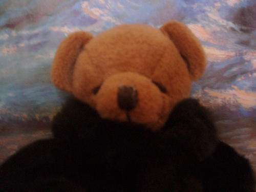 BEAUTIFUL RUSS BEARMY NAME   IS FORTUNA