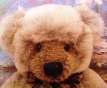 BEAUTIFUL RUSS BEARMY NAME   IS  WESELEY