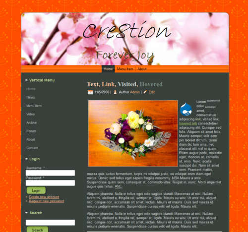 Professionally Designed Website Starting at R1 NO Reserve!