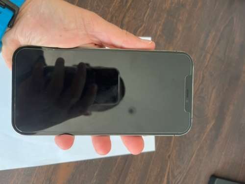 iPhone 12 Pro Max 256GB - Graphite - Brilliant Condition - Including Extra`s!!!!