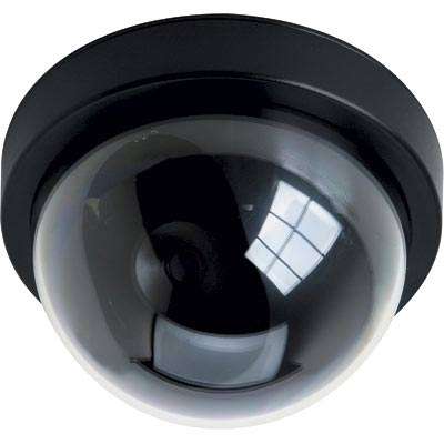 Sony CCD indoor black tint dome