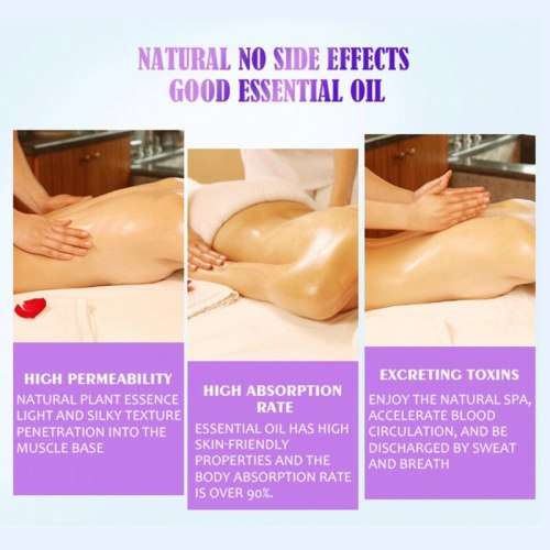 Disaar Natural Muscle Pain and Body Ache Relieving Ginseng Massage Oil