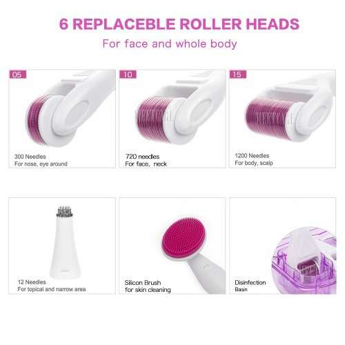 Amazing  6 in 1 Derma Roller System