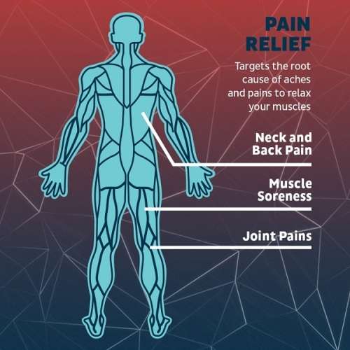 INSTANT EFFECT PEI MEI ARTHRITIS , MUSCLE , JOINT and CHRONIC PAIN RELIEF SPRAY