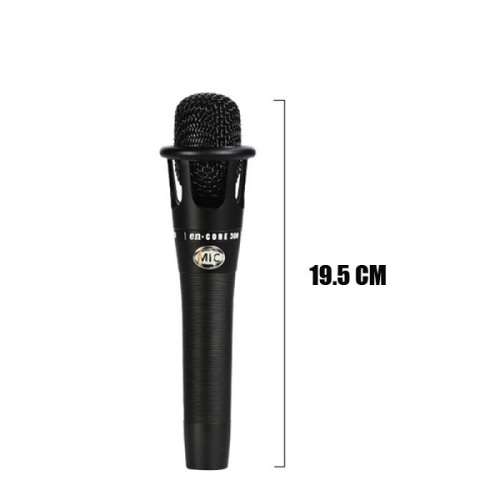 Encore 300 Premium Vocal Condenser Microphone