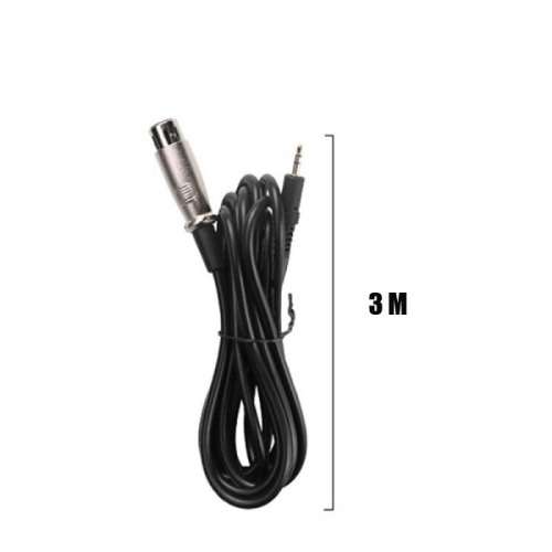 Encore 300 Premium Vocal Condenser Microphone