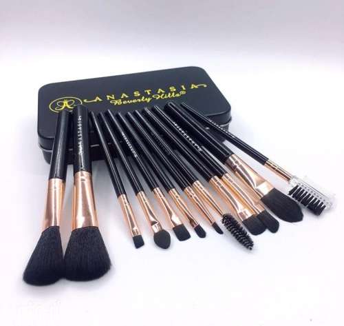 Stunning 12pcs  ANASTASIA  OF BEVERLEY HILLS  Makeup Brush Set