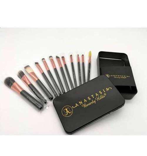 Stunning 12pcs  ANASTASIA  OF BEVERLEY HILLS  Makeup Brush Set